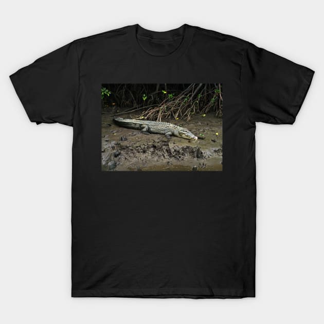 Crocodile - Chinaman Creek - Cairns T-Shirt by pops